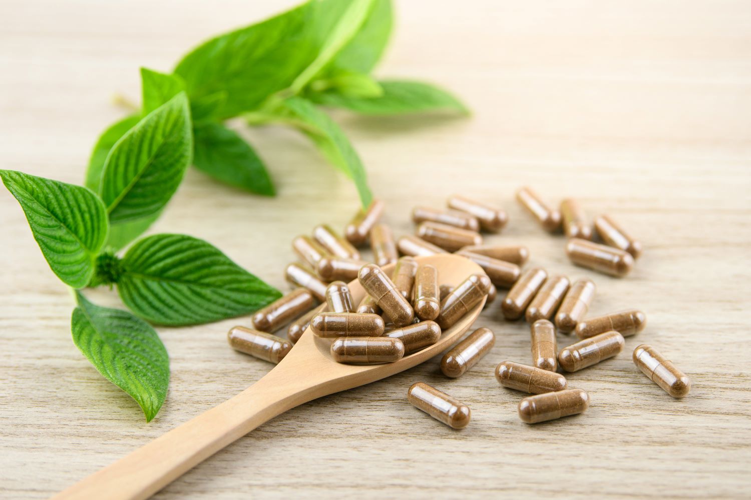 Kaya Veda Ayurveda Kräuterkapseln für mehr Fittness