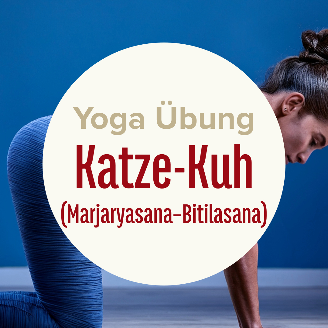 Yoga Übung: Katze-Kuh (Marjaryasana–Bitilasana)