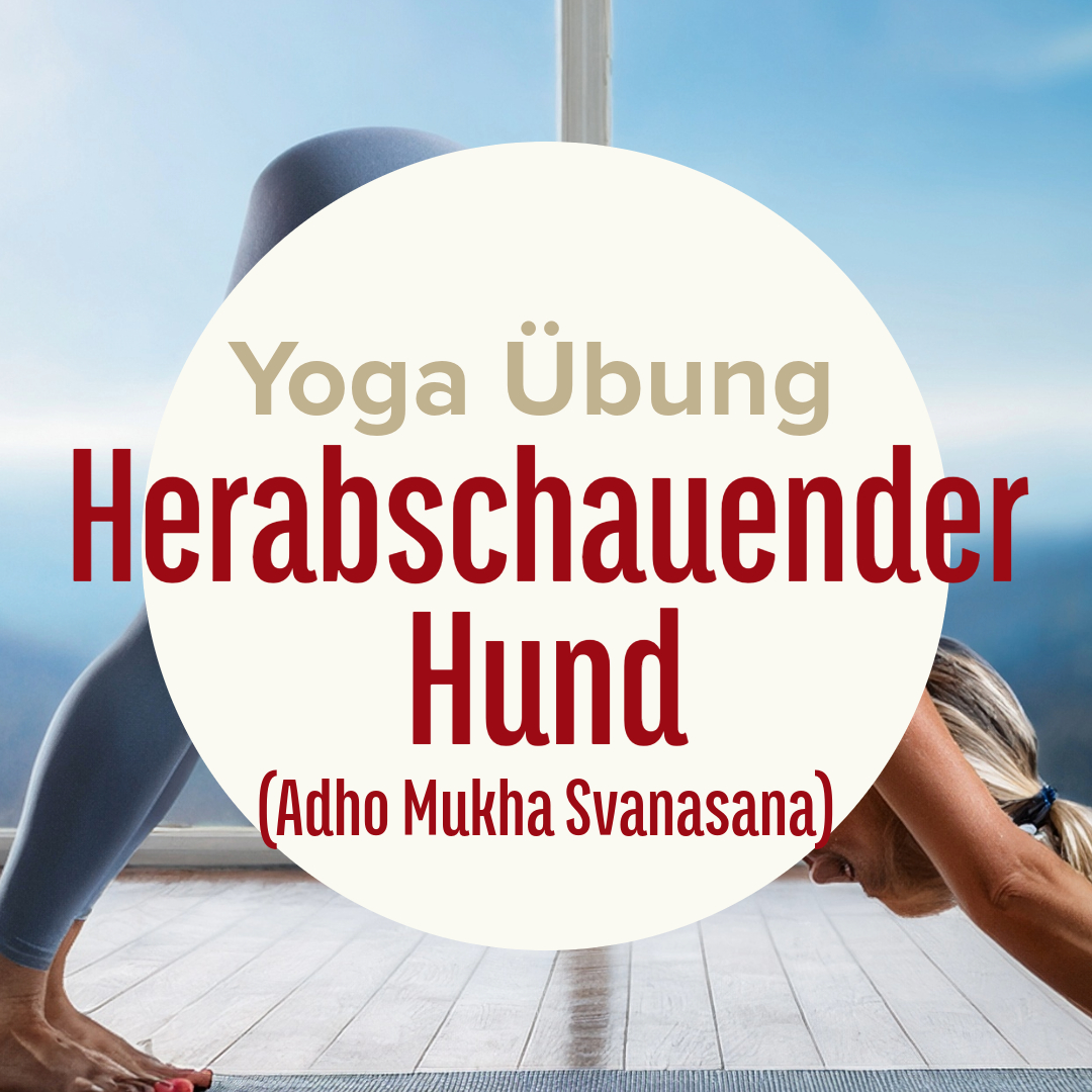 Yoga Übung: Herabschauender Hund (Adho Mukha Svanasana)   
