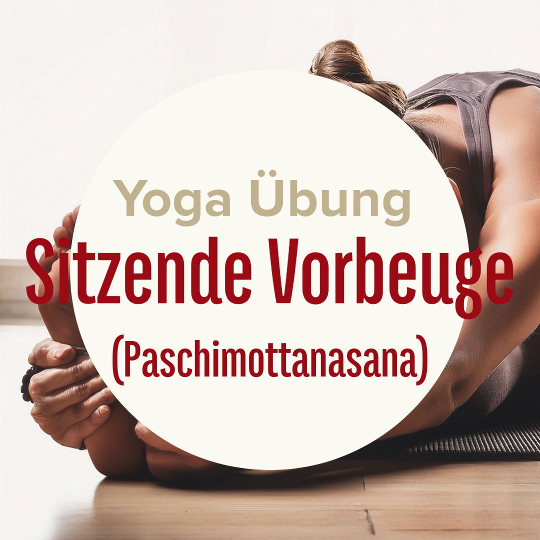 Yoga Übung: Sitzende Vorbeuge (Paschimottanasana)